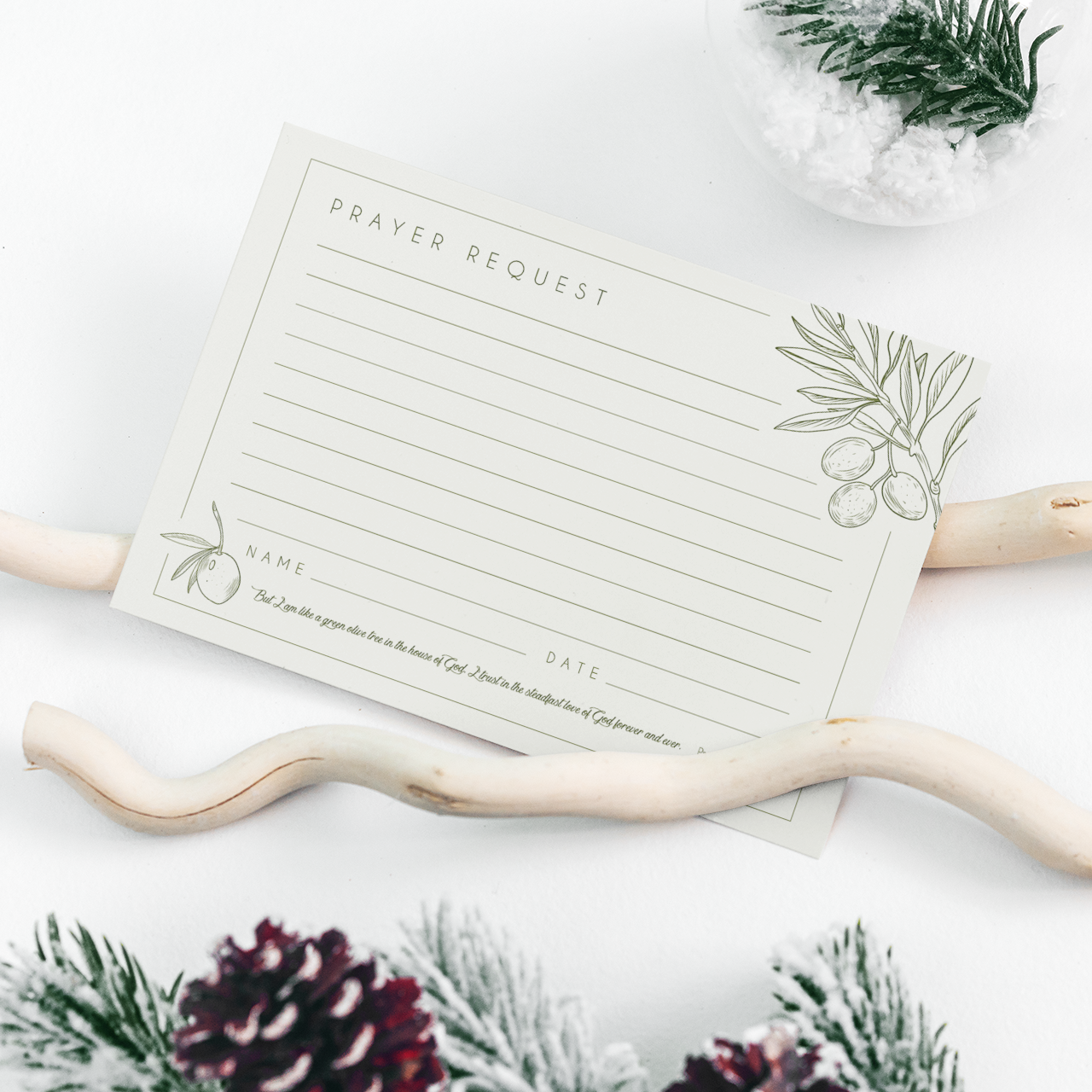 Elegant Prayer Request Cards | Double-Sided Christian Stationery with Olive Branch Design | Spiritual Encouragement & Religious Gifts