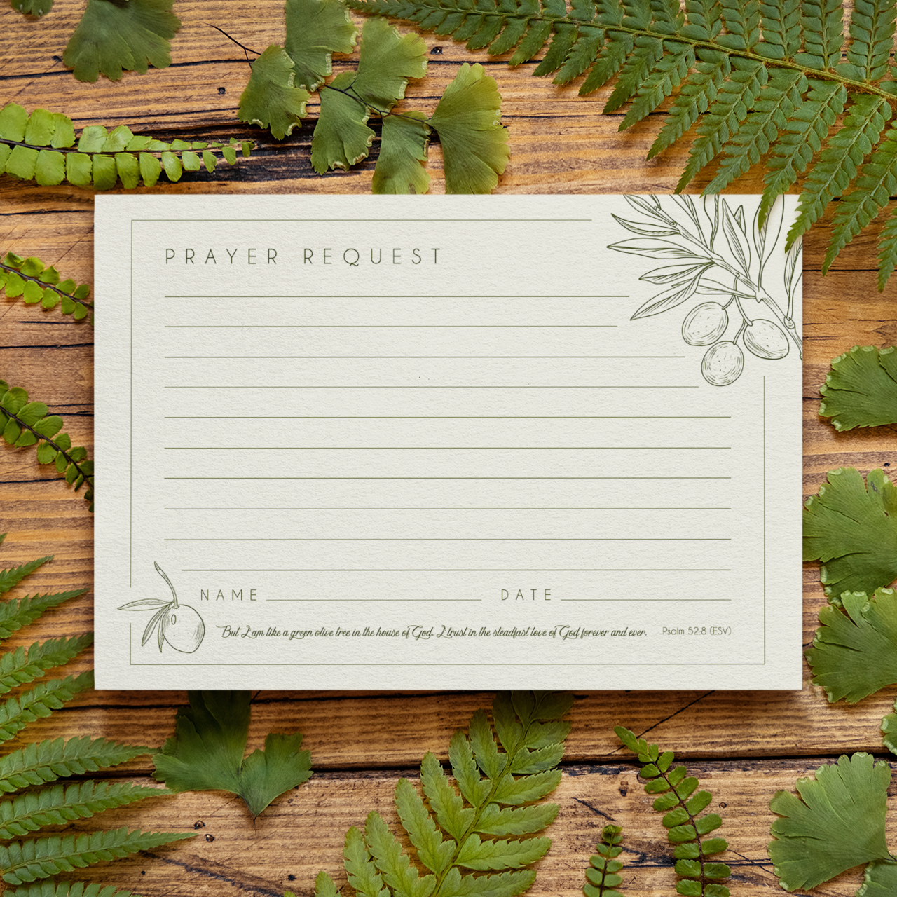 Elegant Prayer Request Cards | Double-Sided Christian Stationery with Olive Branch Design | Spiritual Encouragement & Religious Gifts